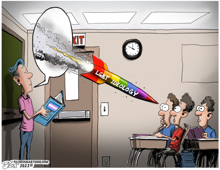 LGBT ideology in schools Pat Cross cartoon